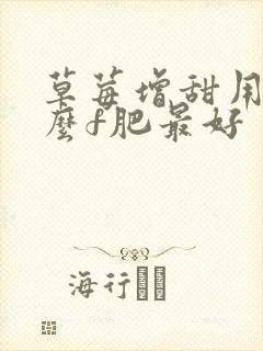 草莓增甜用点什么f肥最好