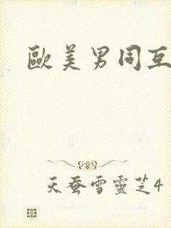 欧美男同互操