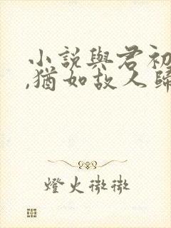 小说与君初相识,犹如故人归