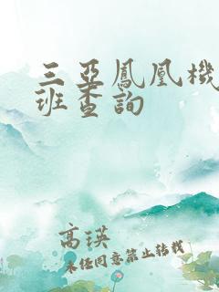 三亚凤凰机场航班查询