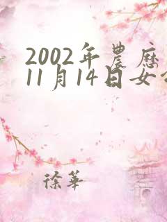 2002年农历11月14日女命格