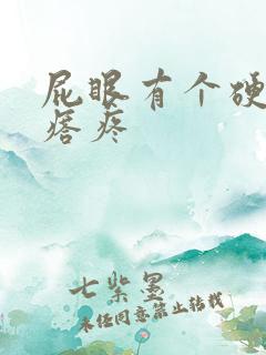 屁眼有个硬肉疙瘩疼