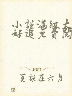 小说满级大佬不好追免费阅读