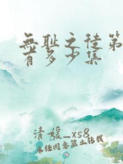 无耻之徒第一季有多少集