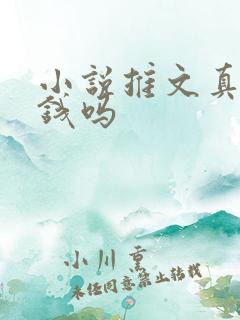 小说推文真的赚钱吗 小说推文真的赚钱吗