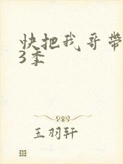 快把我哥带走第3季