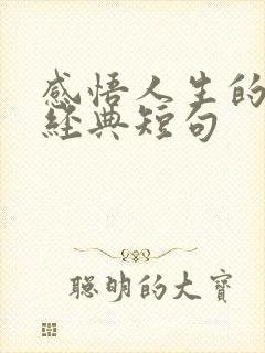 感悟人生的句子经典短句