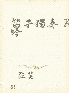笛子独奏 葬花吟