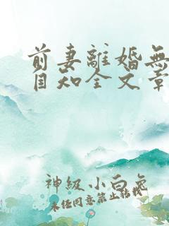 前妻离婚无效徐自知全文章节免费阅读