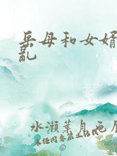 岳母和女婿的伦乱