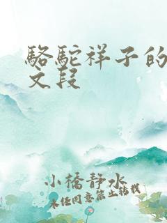 骆驼祥子的优美文段