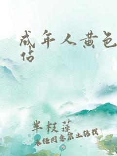 成年人黄色大网站
