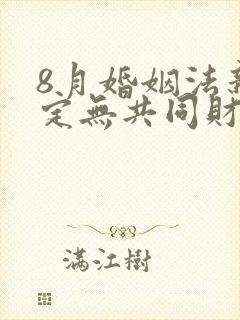 8月婚姻法新规定无共同财产