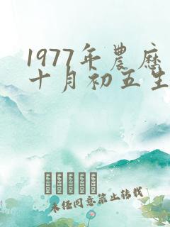 1977年农历十月初五生辰八字