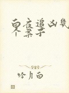 白夜追凶几集一个案子