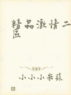 精品激情二区三区