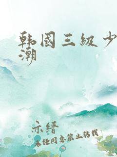 韩国三级少妇高潮