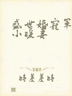 盛世婚宠军少的小暖妻