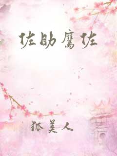 佐助鹰佐
