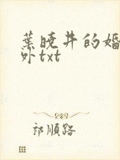 叶晓井的婚里婚外txt