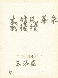 大明风华朱棣遇刺后续