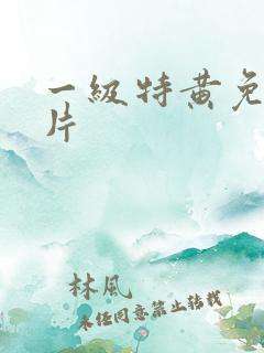 一级特黄免费大片