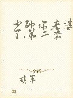 少帅你老婆又跑了,第二季