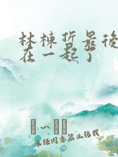 林栋哲最后和谁在一起了