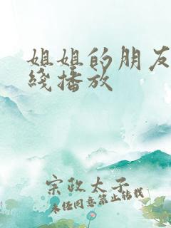 姐姐的朋友4在线播放