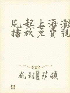 风起上海滩在线播放免费观看 风起上海滩在线播放免费观看