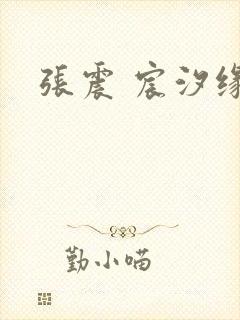 张震 宸汐缘 张震 宸汐缘