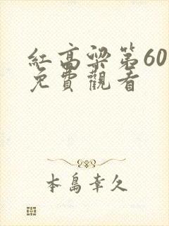 红高粱第60集免费观看