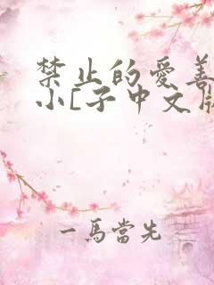 禁止的爱善良的小[子中文版