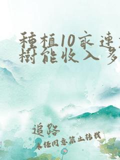 种植10亩连翘树能收入多少