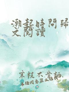 潮起时问归期全文阅读