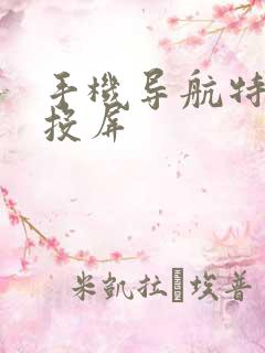 手机导航特斯拉投屏 手机导航特斯拉投屏