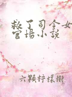 救了司令女儿的官场小说