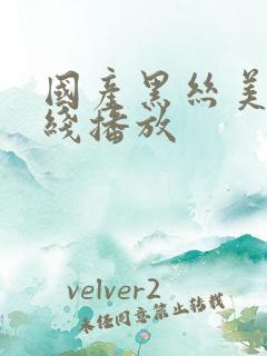 国产黑丝美女在线播放