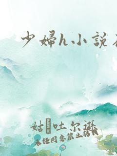 少妇h小说在线
