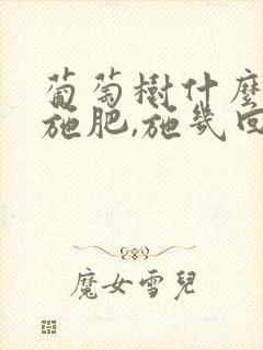 葡萄树什么时候施肥,施几回肥