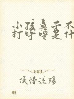 小孩鼻子不透气打呼噜是什么原因