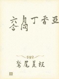六月丁香亚洲综合网