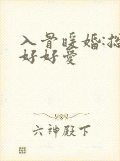 入骨暖婚:总裁好好爱 入骨暖婚:总裁好好爱