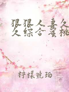 狠狠人妻久久久久综合蜜桃