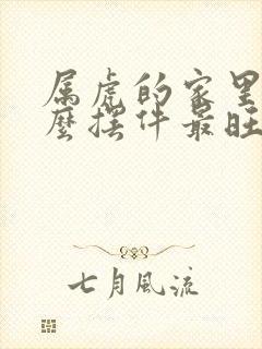属虎的家里放什么摆件最旺