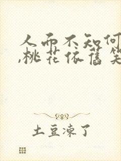 人面不知何处去,桃花依旧笑春风意思