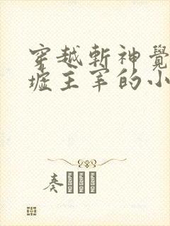 穿越斩神觉醒王墟主宰的小说