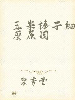玉米棒子细是什么原因 玉米棒子细是什么原因