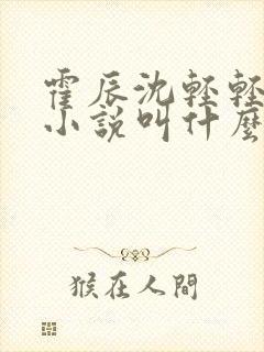 霍辰沈轻轻许安小说叫什么名字