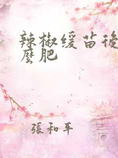 辣椒缓苗后施什么肥